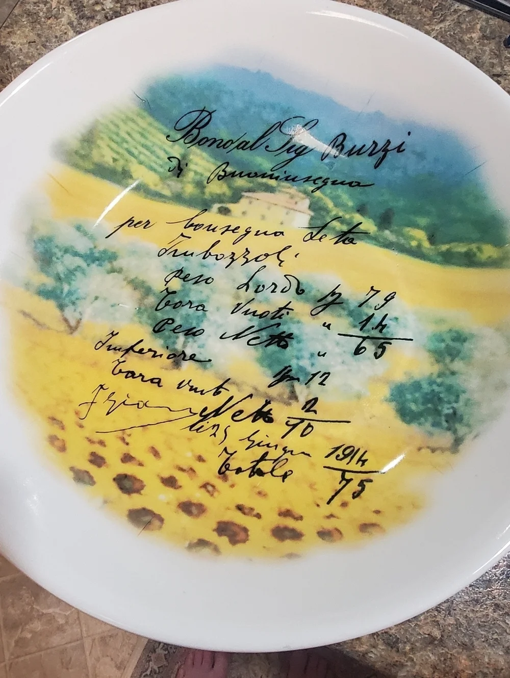OPIFICIO ETICO PASTA DISH. MADE IN ITALY. 12.5 WIDE. YELLOW BLUE CERAMIC